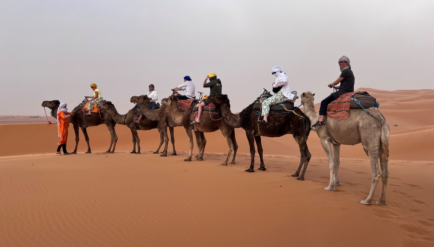 Camel Ride